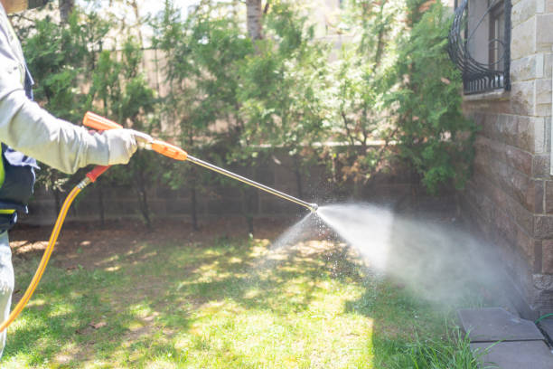 Best Local Pest Control Services  in Chena Ridge, AK