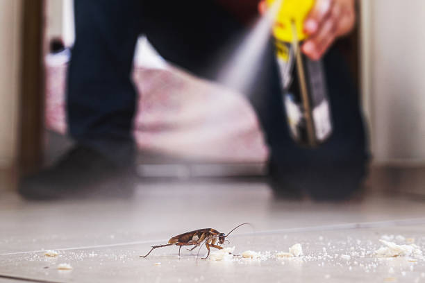 Best Best Pest Control Companies  in Chena Ridge, AK